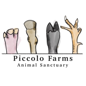 Piccolo Farms Program Partner Logo