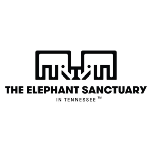 The Elephant Sanctuary