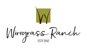 Wiregrass Ranch 2