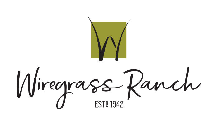 Wiregrass Ranch 2